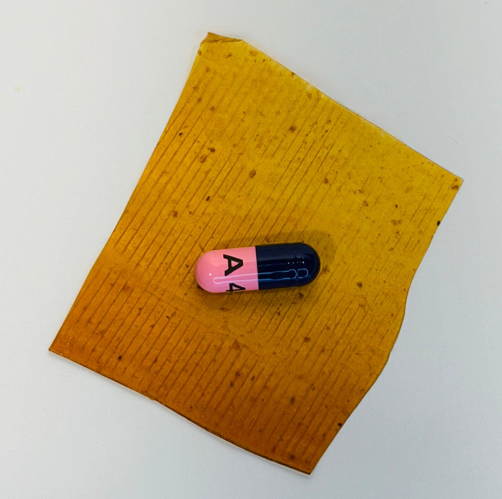 Best pill wraps for picky dogs