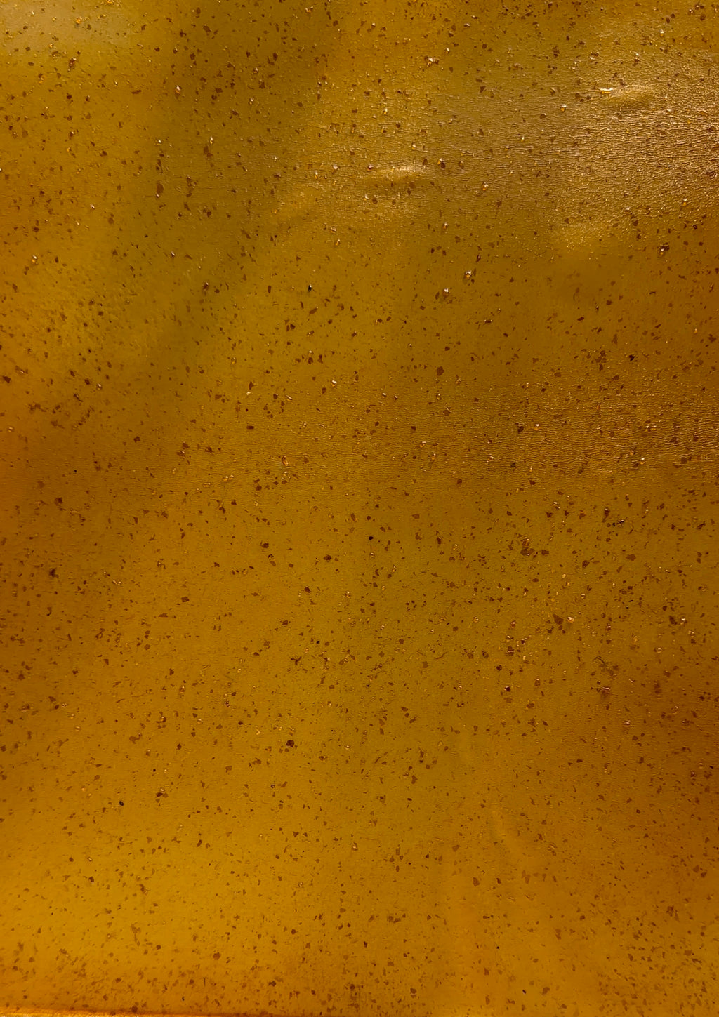 Best pill wraps for picky dogs