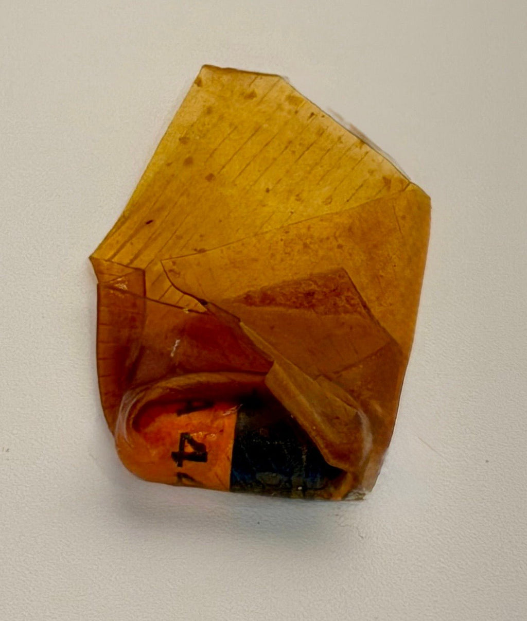 Northern Sundog Co. Premium Pill Wrap – Beef Pumpkin Honey (Limited Ingredient) Natural Pill Wraps for Dogs